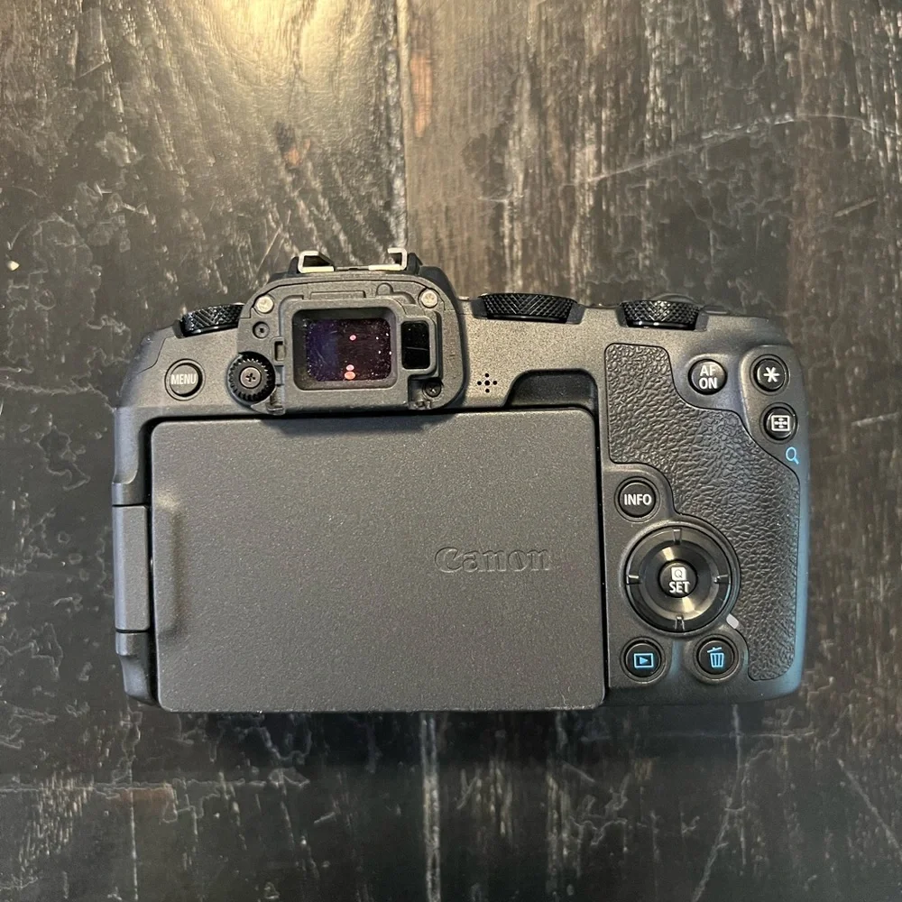 Canon EOS RP with mount adapter, two lenses, gimbal, and strap